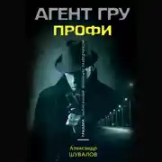 Постер книги Профи