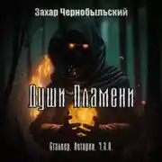 Постер книги Сталкер. Истории. Ч.З.О. Души Пламени