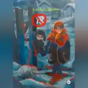 Постер книги Легенды о Комиссаре. Зрелость (по законам Универсума)