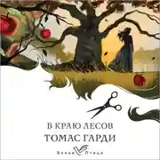Постер книги В краю лесов