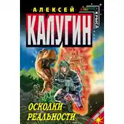 Постер книги Осколки реальности