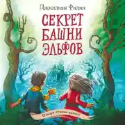 Постер книги Секрет башни эльфов