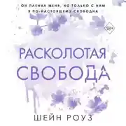 Постер книги Расколотая свобода