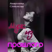 Постер книги Муж из прошлого