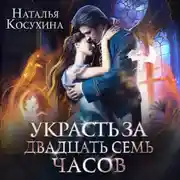 Постер книги Украсть за 27 часов!