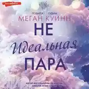 Постер книги Неидеальная пара