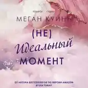 Постер книги (Не)идеальный момент