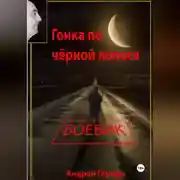 Постер книги Гонка по чёрной полосе