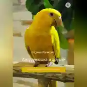 Постер книги Артурунюшка и другие