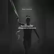 Постер книги Психотерапия синдрома отличника