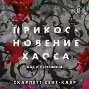 Постер книги Прикосновение хаоса