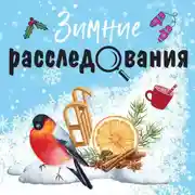 Постер книги Зимние расследования