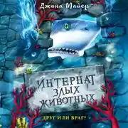 Постер книги Друг или враг?