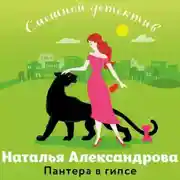 Постер книги Пантера в гипсе