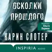 Постер книги Осколки прошлого