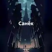 Постер книги Санёк