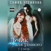 Постер книги Лучик для Тёмного