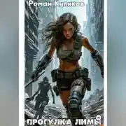 Постер книги Прогулка Лимы