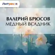 Постер книги Медный Всадник