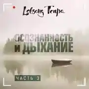 Постер книги Осознанность и дыхание. Часть 3