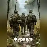 Постер книги Журавли