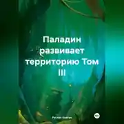 Постер книги Паладин развивает территорию Том III