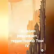 Постер книги Паладин развивает территорию Том IV