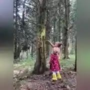 Постер книги Разочарованный лес