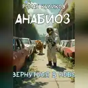 Постер книги Вернуться в небо