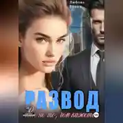 Постер книги Развод. Всё не то, чем кажется