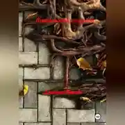 Постер книги Жизнь полная раздумий