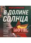 Энди Дэвидсон - В долине солнца
