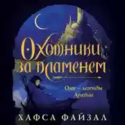 Постер книги Охотники за пламенем
