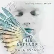 Постер книги Гнев ангелов