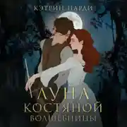 Постер книги Луна костяной волшебницы