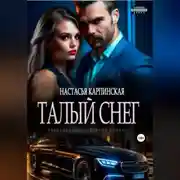 Постер книги Талый снег