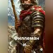 Постер книги Villeman Og