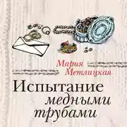 Постер книги Испытание медными трубами (сборник)