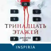 Постер книги Тринадцать этажей