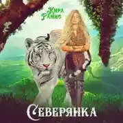 Постер книги Северянка