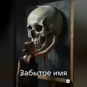 Постер книги Забытое имя