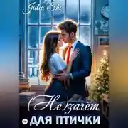 Постер книги (Не)зачёт для птички