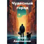Постер книги Чудесный город