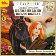 Постер книги Белорийский цикл о Вольхе