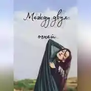 Постер книги Между двух огней