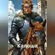 Постер книги Калоша