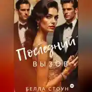 Постер книги Последний вызов
