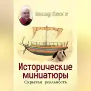 Постер книги Исторические миниатюры. Скрытая реальность