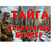 Постер книги ТАЁЖНАЯ ИСТОРИЯ, В ПОИСКАХ ЯПОНСКИХ СОКРОВИЩ ПОСЛЕ ВОЙНЫ. «БУНКЕР ВАСИЛЕВСКОГО», ИСТОРИИ НА НОЧЬ.