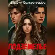 Постер книги Подземелье